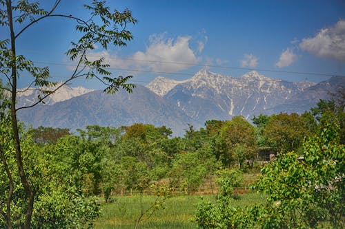 Základová fotografie zdarma na téma himachal, krajina, zasněžené vrcholky hor