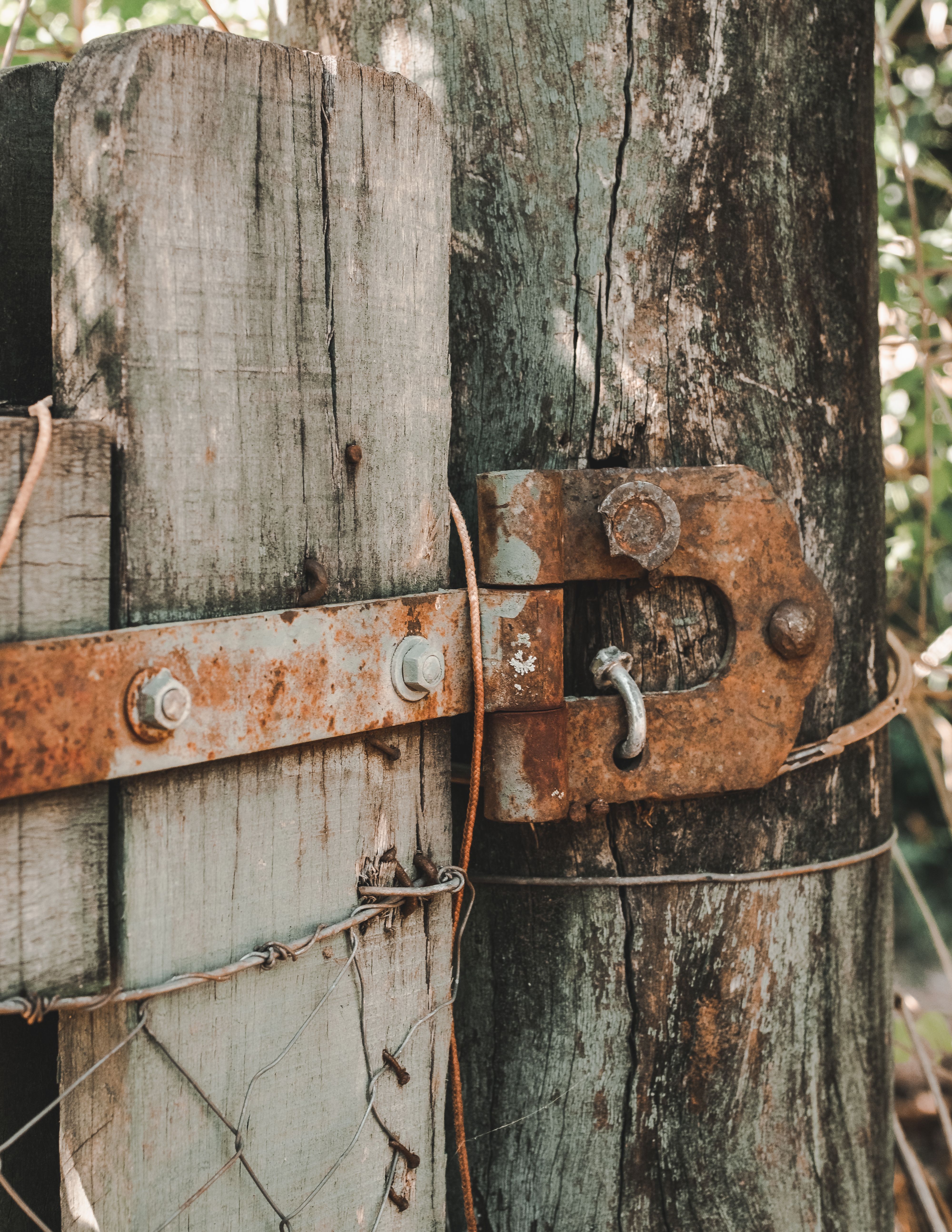 Rusty Hinge Attached to a Wooden Gate · Free Stock Photo