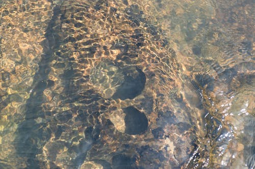 Darmowe zdjęcie z galerii z bieżąca woda, brzegi rzeki, odbicie