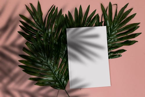 Paper on Top of Green Leaves