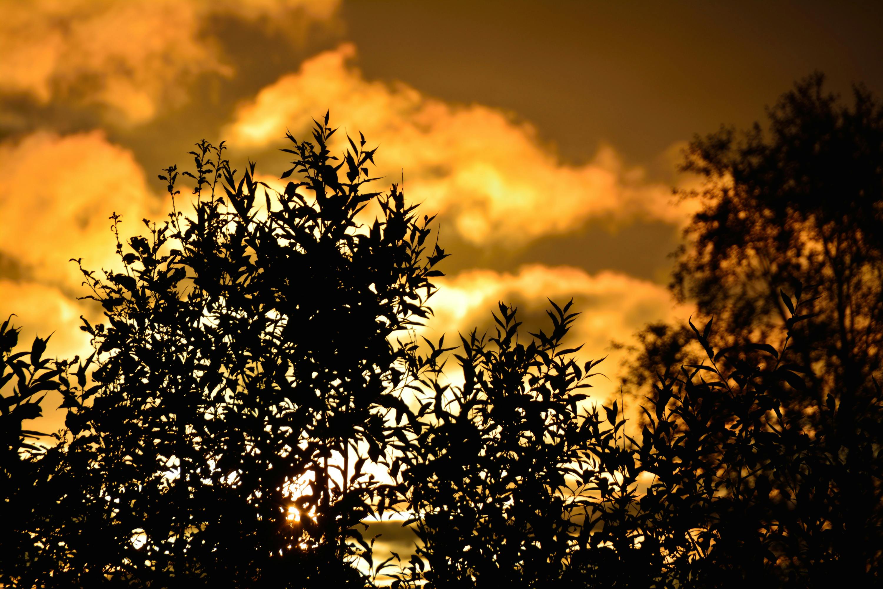 Free stock photo of clouds, dawn, dust