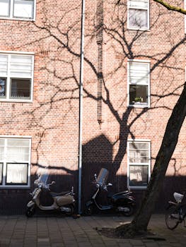 Shadows of tree branches fall on a brick building facade with parked scooters.
