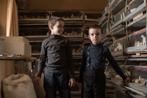 Free Positive smiling boys wearing black casual clothes standing in room near numerous cages with quails on fowl farm in daytime Stock Photo