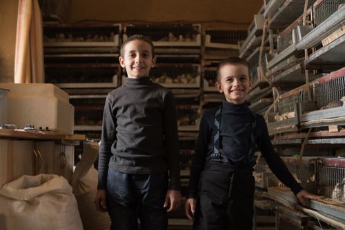 Free Cheerful smiling boys in black warm wear spending time together on rural fowl farm near cages with cute quails Stock Photo