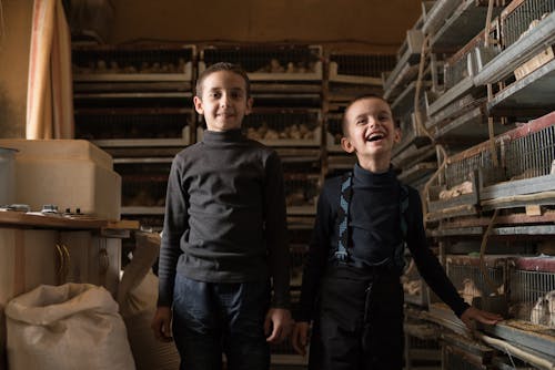 Positive little children standing at bird factory