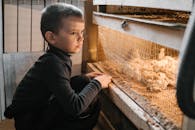 Curious little kid looking on chickens in breeding cage