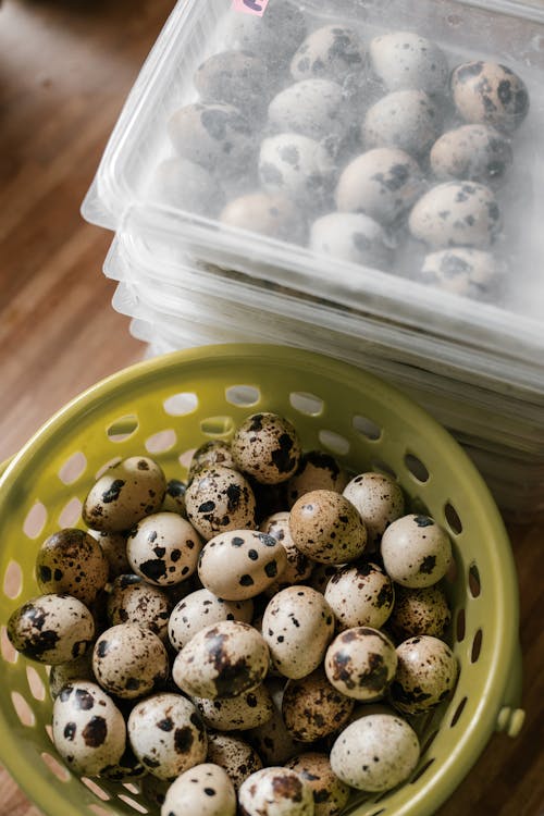 From above of healthy quail eggs packed in plastic containers and gathered into basket on wooden table