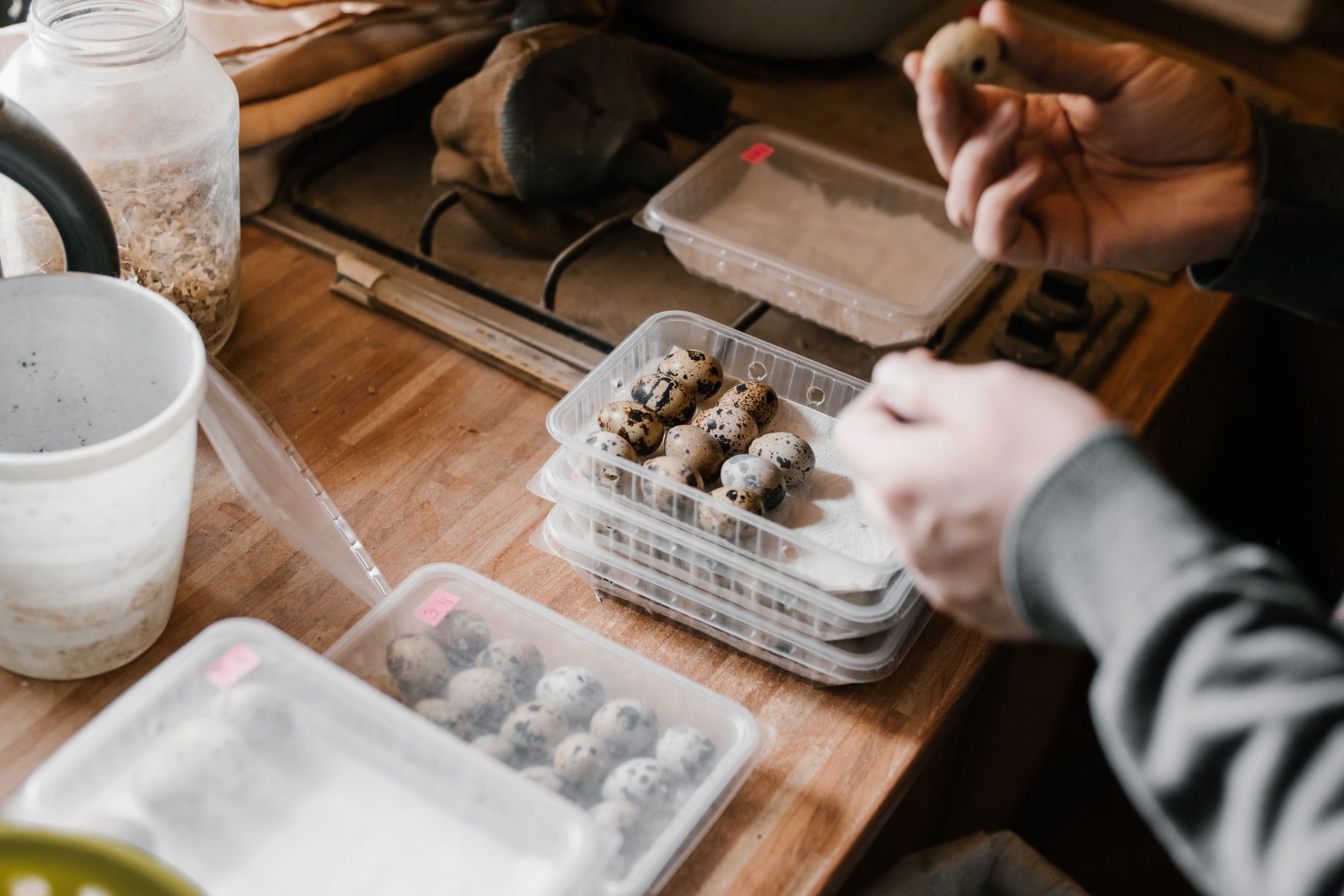 Meal Prep Mastery: The Evidence-Based Guide to Cooking Once and Eating Well All Week