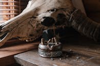 Old ashtray and cow skull on dusty wooden table