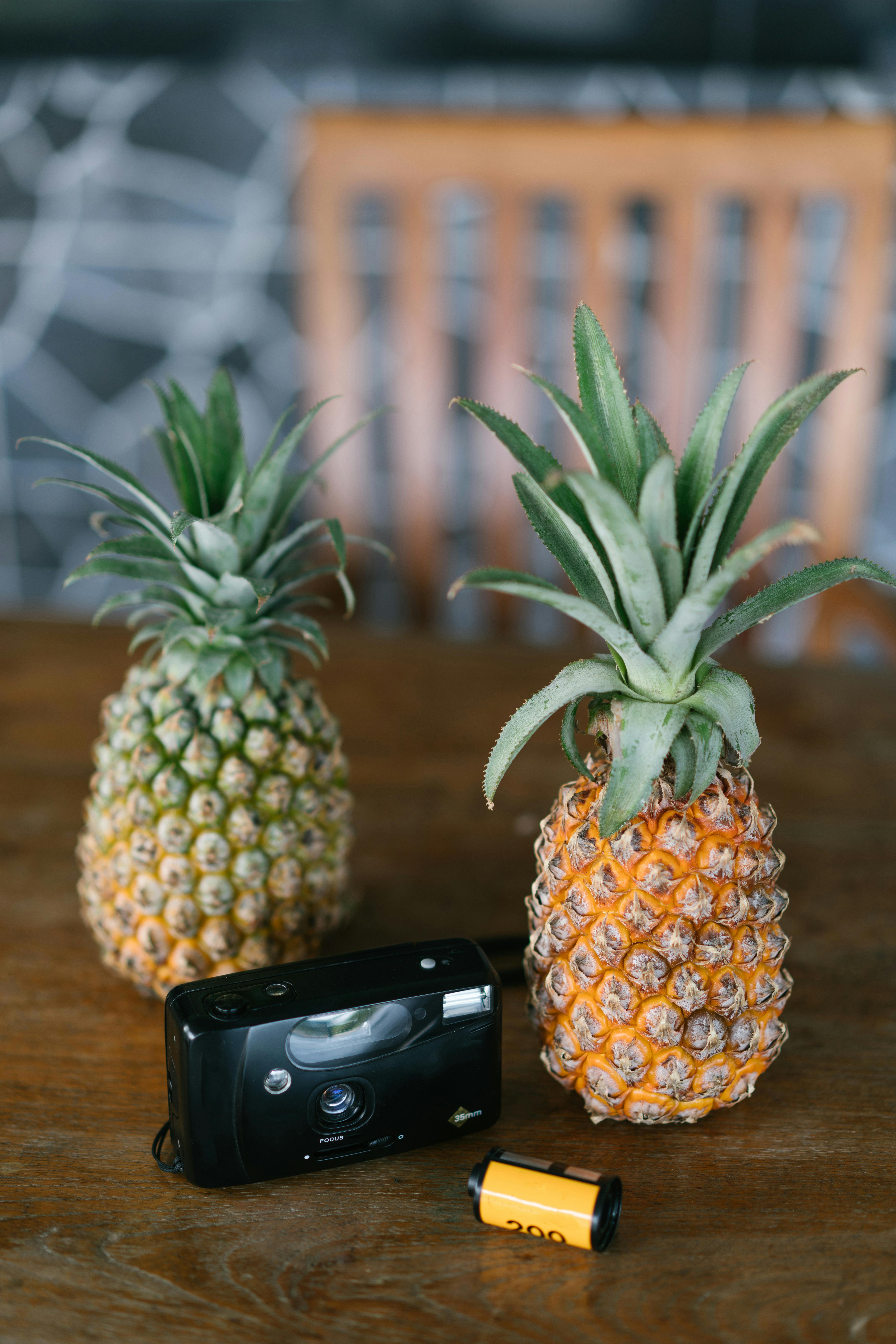 Photo by ArtHouse Studio