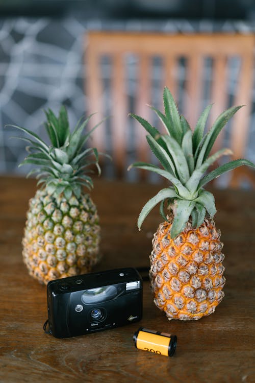 Arrangement of old photo camera and film placed near fresh tropical pineapples on wooden table on summer resort terrace in evening