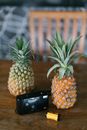 Arrangement of old photo camera and film placed near fresh tropical pineapples on wooden table on summer resort terrace in evening
