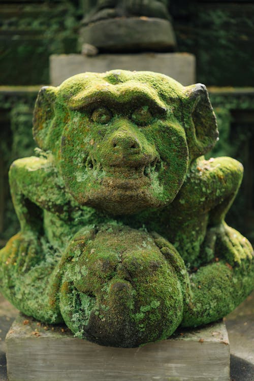 Stone mythical creature statue in jungle