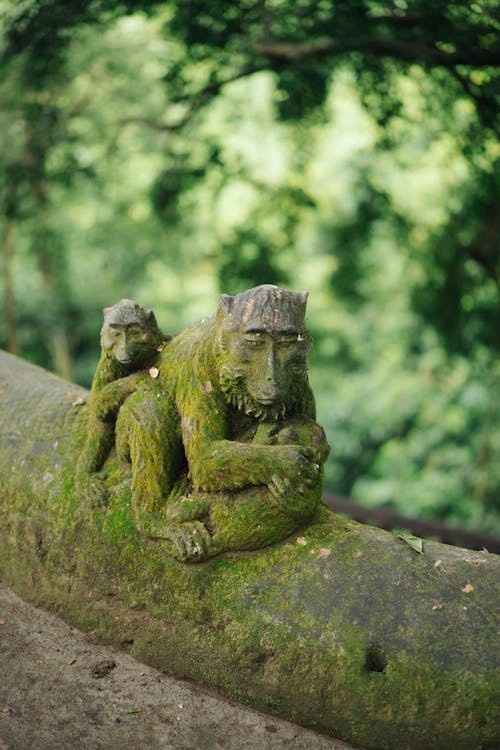 公園, 冒險, 冷靜 的 免費圖庫相片