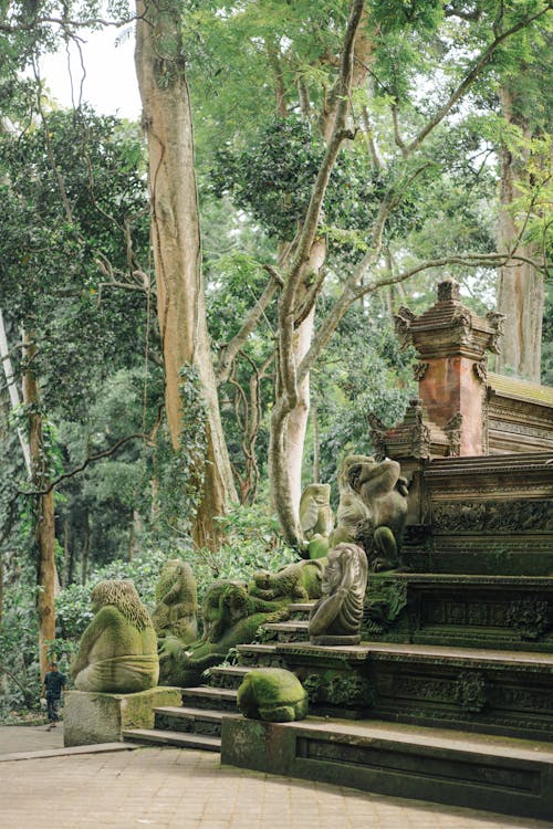 Stone sculptures of traditional mythological Asian creatures covered with green moss and located in green tropical jungle on sunny day