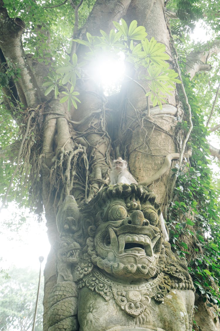 Funny Monkey Sitting On Mythical Creature Statue