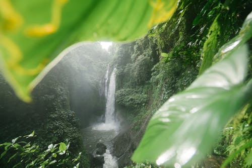 Landscape with high tropical waterfall in middle of rain forest far away from civilization
