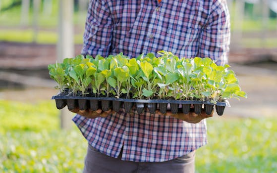 Crop farmer carrying seedling tray in field with the Quote "You just can't beat the person who never gives up." written on it and have average color value #909379