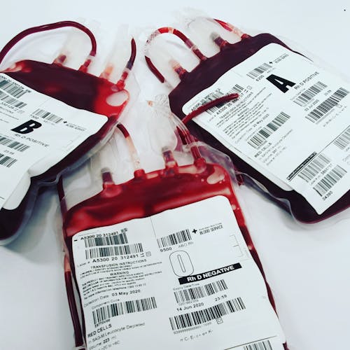 A Close-Up Shot of Bags of Blood