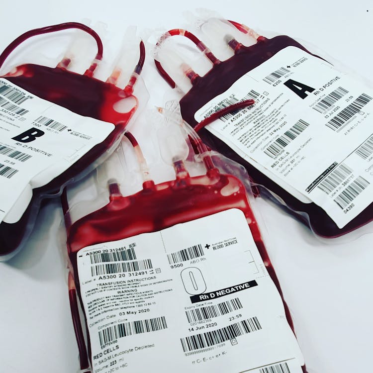 Free A Close-Up Shot of Bags of Blood Stock Photo