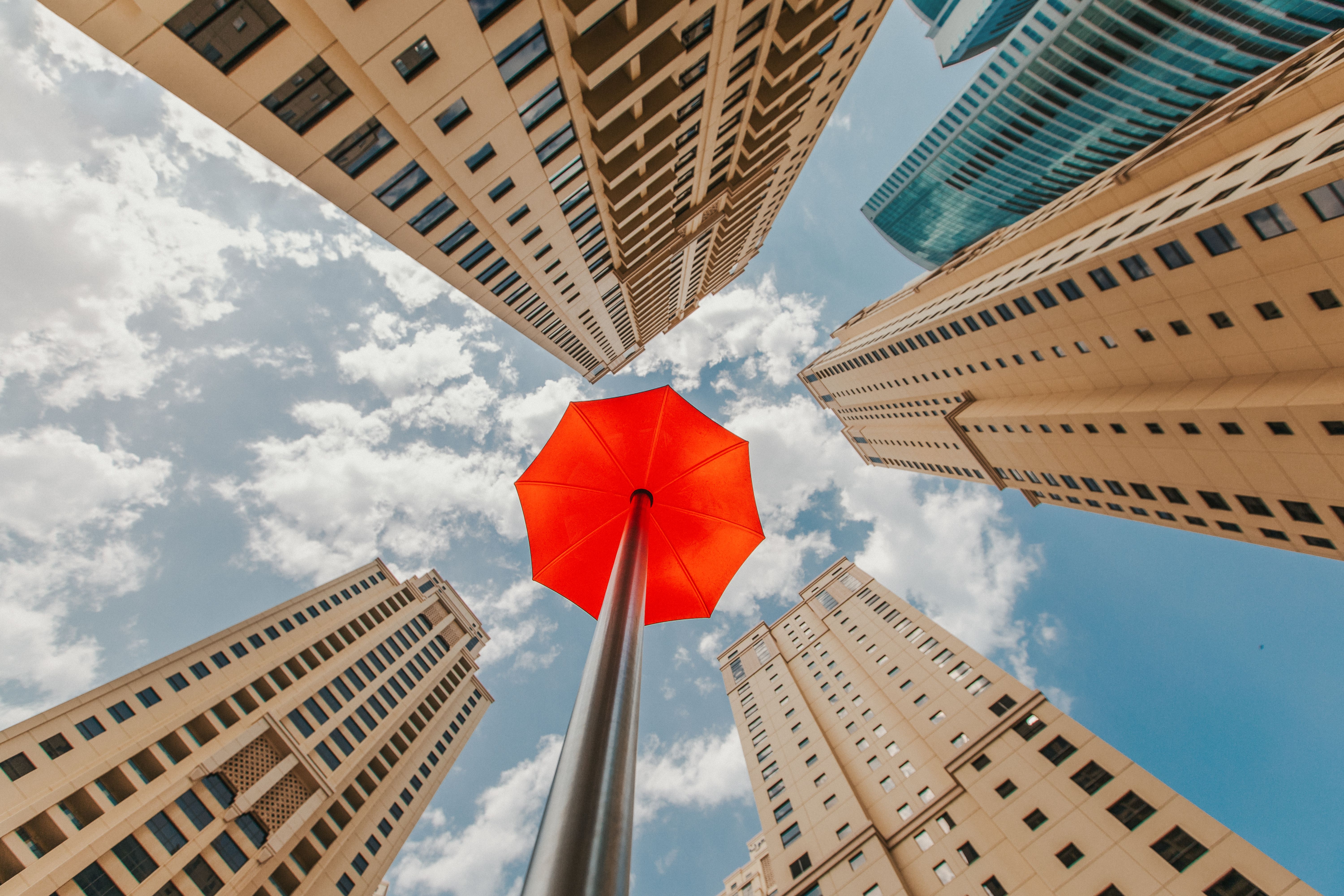 HSB Introduces AI Liability Insurance for Small Businesses — Photo by Denys Gromov on Pexels
