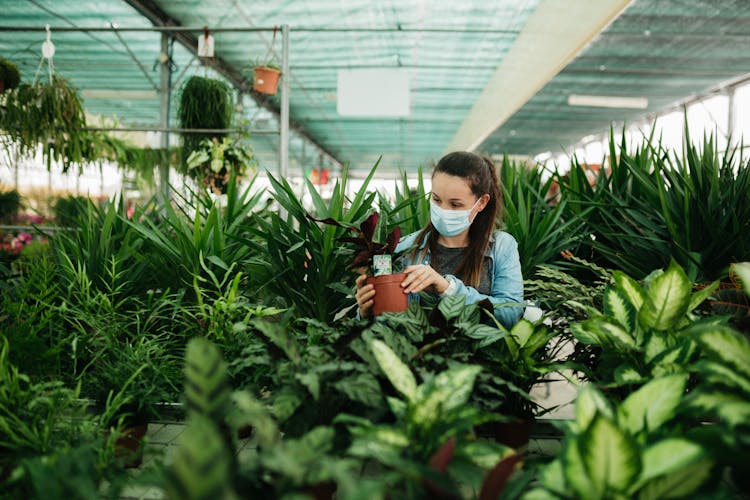 A Woman Wearing A Face Mask Holding A Potted Plant