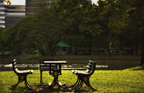 Free stock photo of background, beautiful, bench