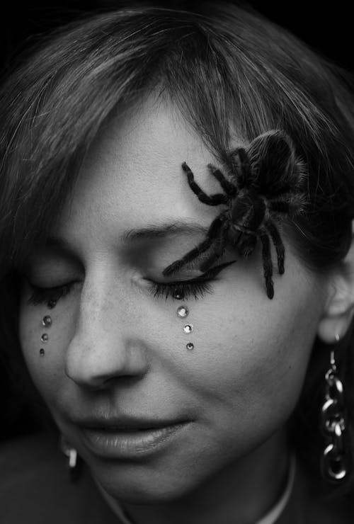 Free Black and white woman with closed eyes and spider placed on face in studio Stock Photo