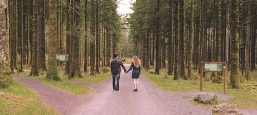 Free stock photo of couple goal, couple holding hands, couple in love