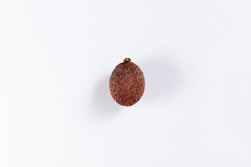 Red round exotic healthy fruit rambutan