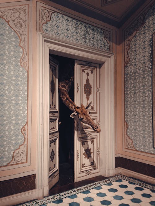Základová fotografie zdarma na téma dveře, Istanbul, koncepční