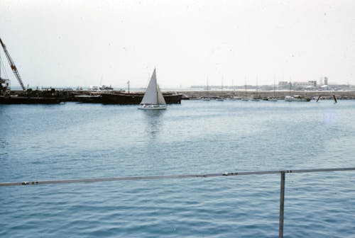 White Sailboat on Sea