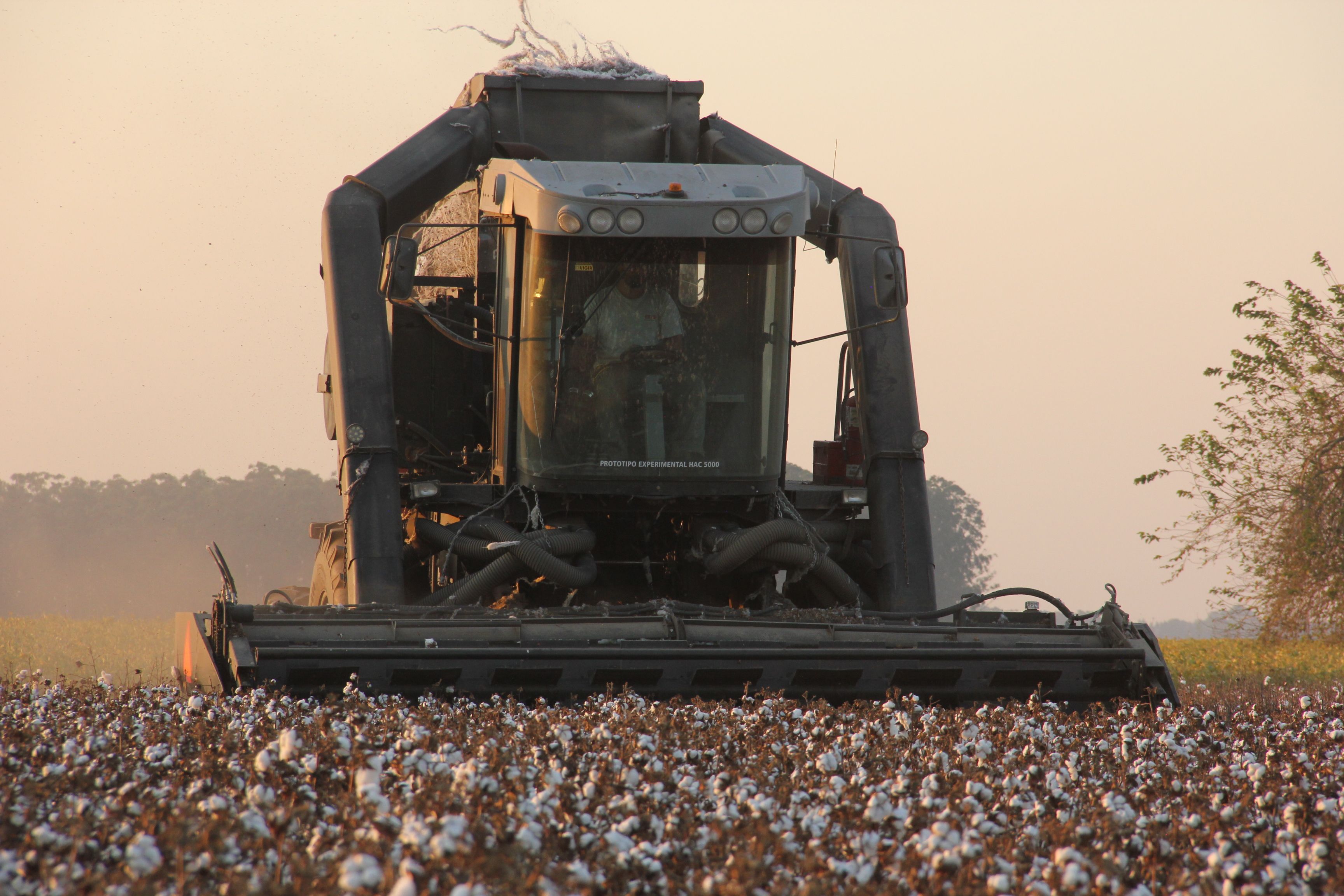 A cotton harvester working in a field during sunset in Reconquista, Argentina.