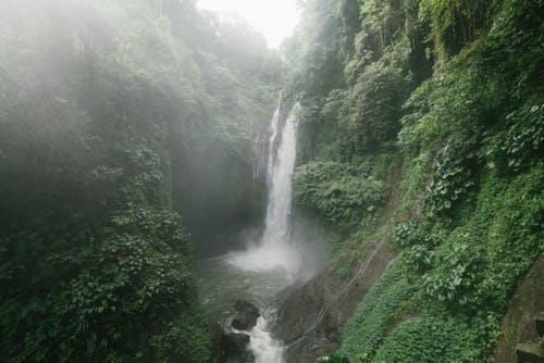 Erstaunlicher Wasserfall Mit üppigem Laub Auf Felsen