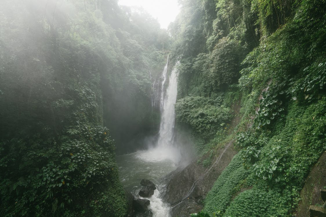 Erstaunlicher Wasserfall Mit üppigem Laub Auf Felsen