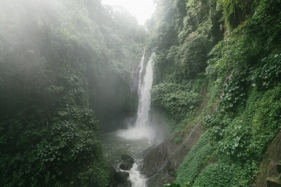 Geweldige Waterval Met Weelderig Gebladerte Op Rotsen