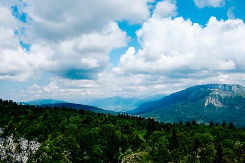 Free High angle of picturesque view of green trees growing on mountain range in high valley under cloudy sky Stock Photo