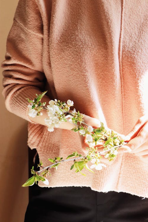 Free Crop anonymous female wearing warm sweater holding branch with blooming flower standing in sunlight Stock Photo