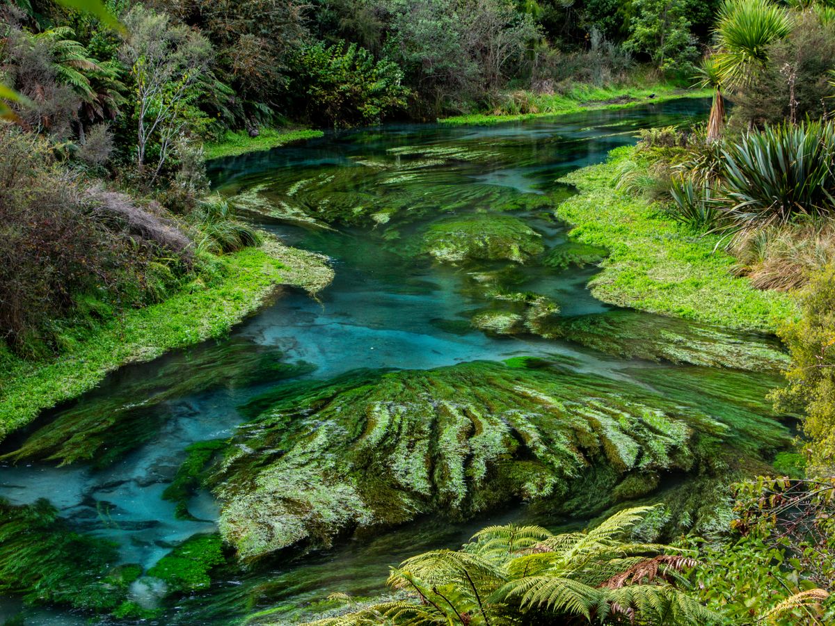 5 Day Silent Meditation & Yoga Retreat - Blue Mountains 2