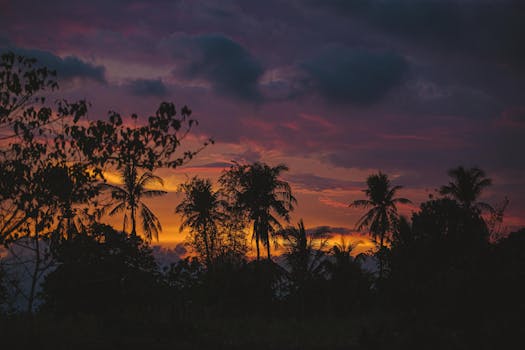 Captivating tropical sunset with palm tree silhouettes and vibrant colors in the sky.