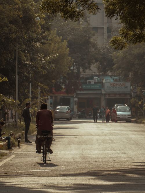 Free Back view of anonymous male riding bike on asphalt roadway near trees in town Stock Photo