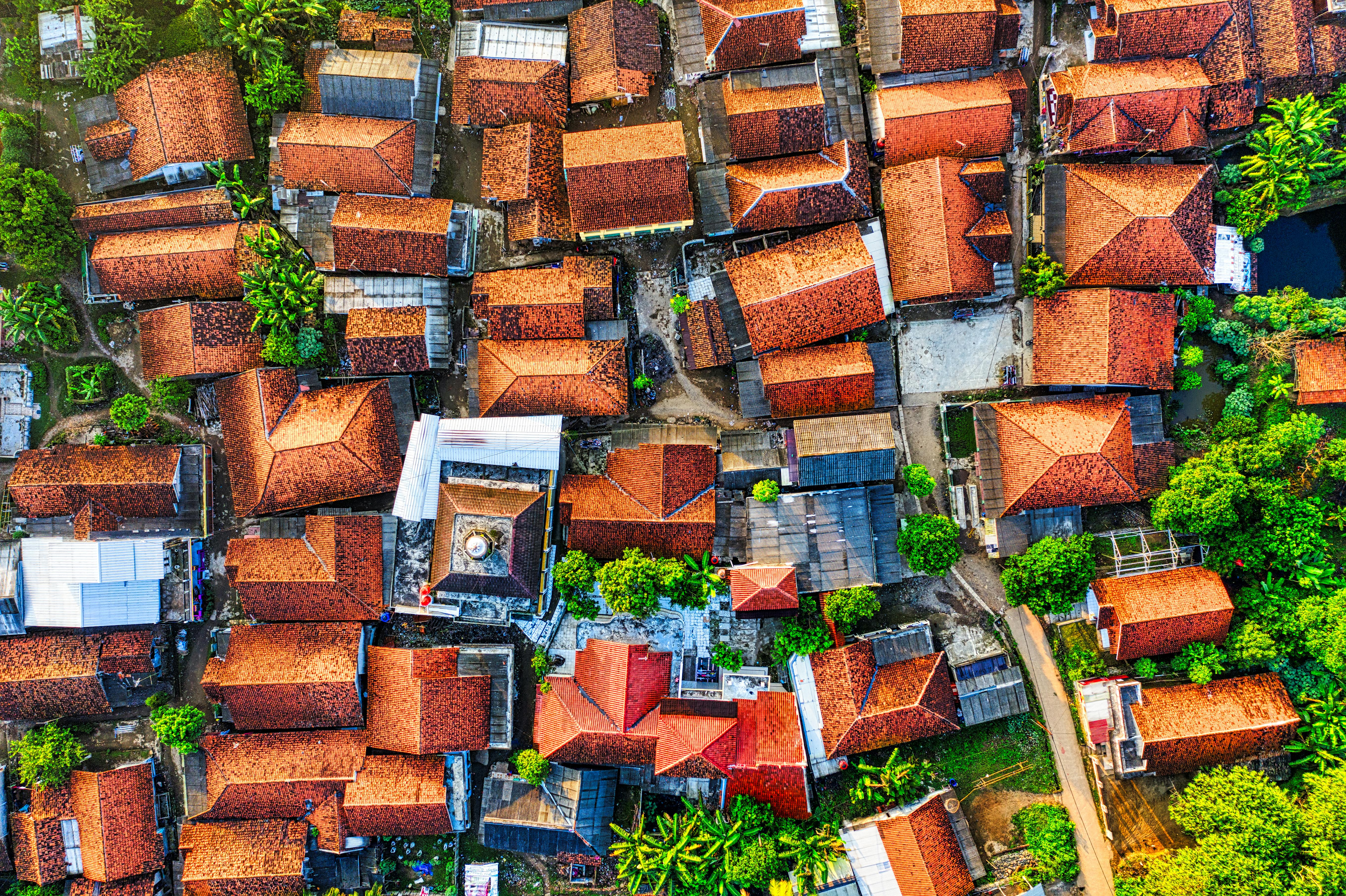 aerial view of brown roof houses