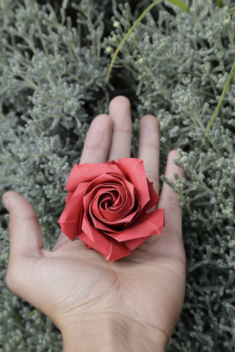 Person Holding Origami Rose In Hand