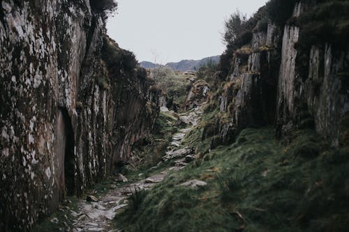 Rocky Trail in Between Rocky Mountains