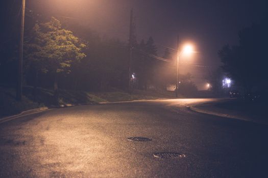 雾蒙蒙的夜晚，路灯照亮了一条安静的街区街道，营造出一种喜怒无常的氛围