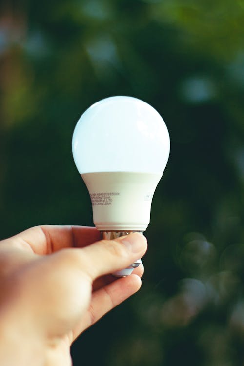 Hand Holding White Light Bulb