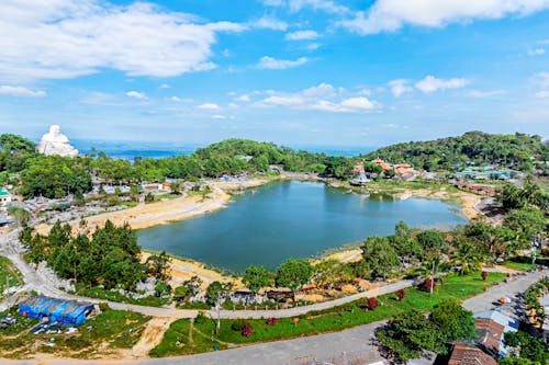 Aerial View of Green Trees Beside the Lake