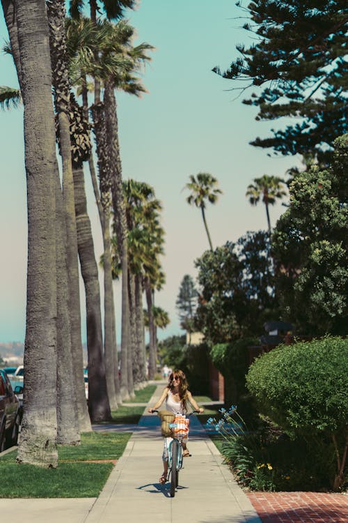 Woman in White Dress Sitting on Bench Near Palm Trees