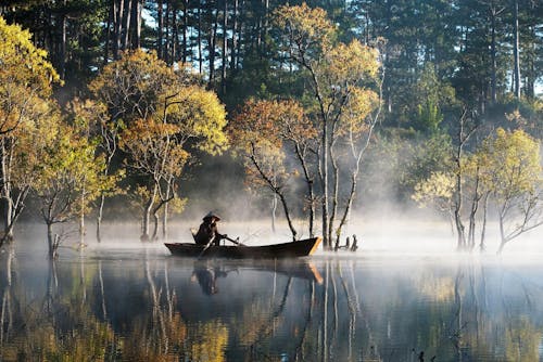 Man in Boat Rowing on Lake in Fog