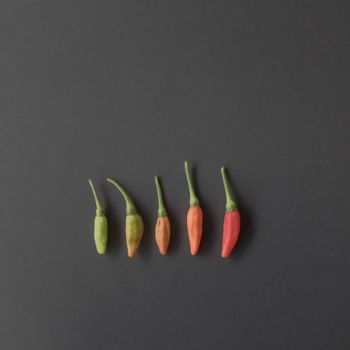 Shishito Peppers
